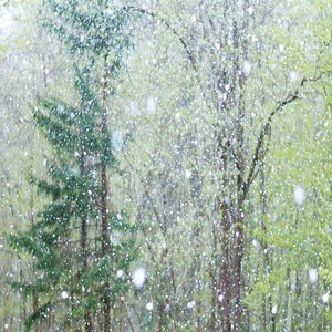 自慰模拟器调教游戏
