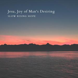 自慰模拟器调教游戏
