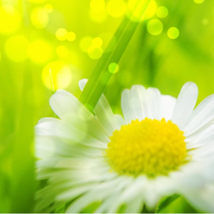 自慰模拟器调教游戏
