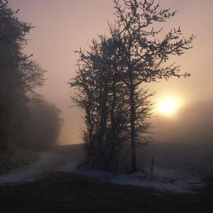 自慰模拟器调教游戏
