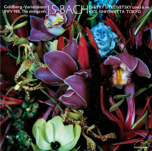 自慰模拟器调教游戏
